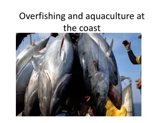 Overfishing and aquaculture at the coast