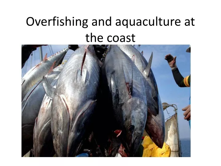 overfishing and aquaculture at the coast