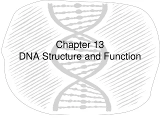 Chapter 13 DNA Structure and Function