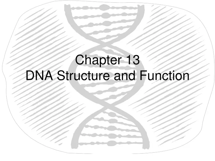 chapter 13 dna structure and function