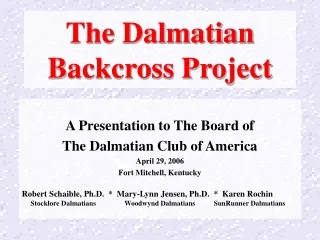 The Dalmatian  Backcross Project
