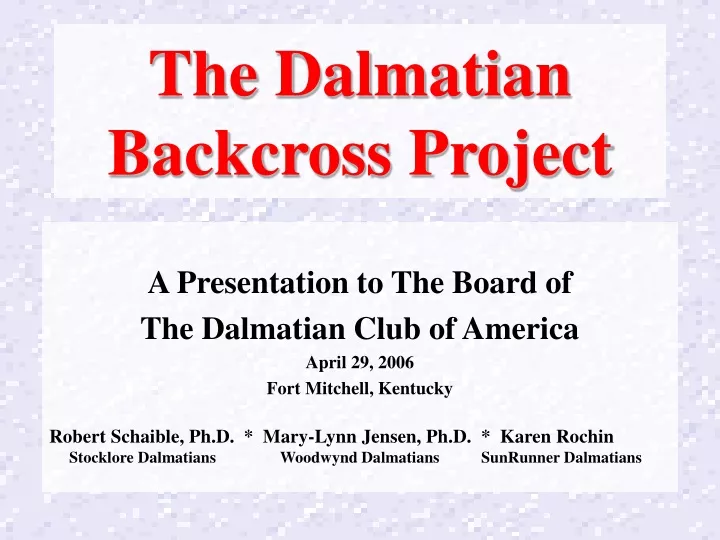 the dalmatian backcross project