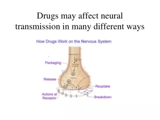 Drugs may affect neural transmission in many different ways
