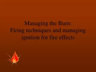 Managing the Burn: Firing techniques and managing ignition for fire effects