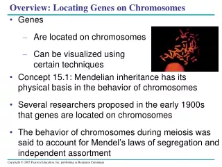 Overview: Locating Genes on Chromosomes