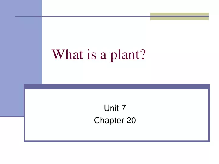 what is a plant