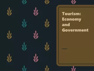 Tourism: Economy and Government