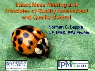 Insect Mass Rearing and Principles of Quality Assessment and Quality Control