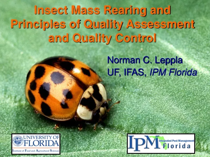 insect mass rearing and principles of quality assessment and quality control