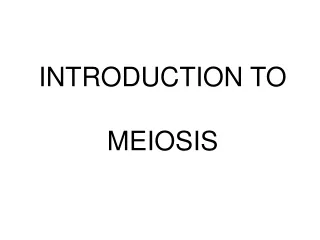 INTRODUCTION TO MEIOSIS