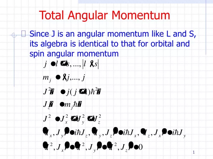 total angular momentum