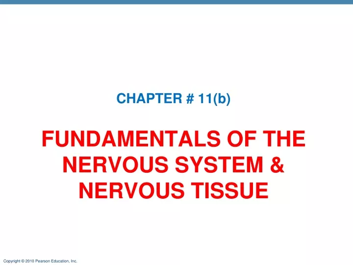fundamentals of the nervous system nervous tissue