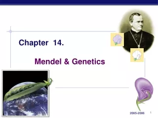 Chapter  14. 	Mendel &amp; Genetics