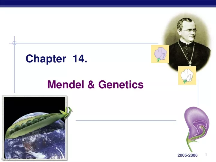 chapter 14 mendel genetics