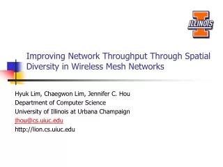 Improving Network Throughput Through Spatial Diversity in Wireless Mesh Networks