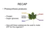 RECAP - slide 1