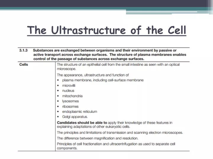 the ultrastructure of the cell