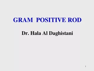 Gram  positive rod Dr.  Hala  Al  Daghistani