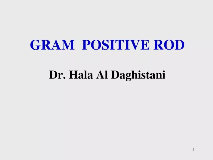 gram positive rod dr hala al daghistani