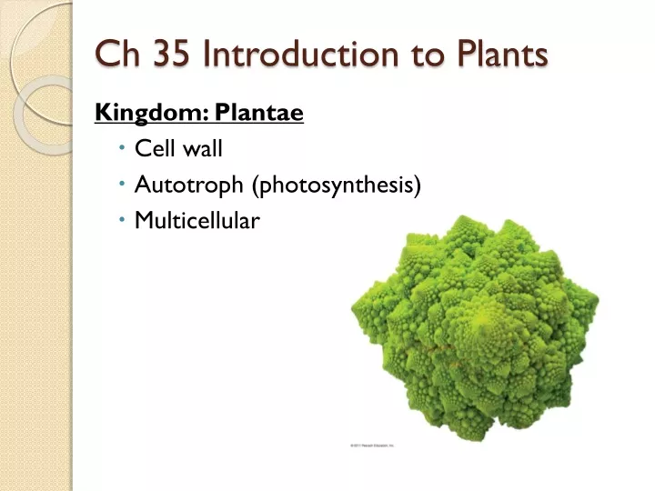 ch 35 introduction to plants