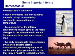 Some important terms  Homeostasis :
