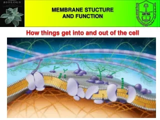 CHAPTER 5 THE STRUCTURE AND FUNCTION OF MACROMOLECULES