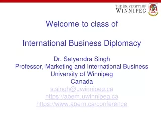 What is International Business Diplomacy (IBD)?