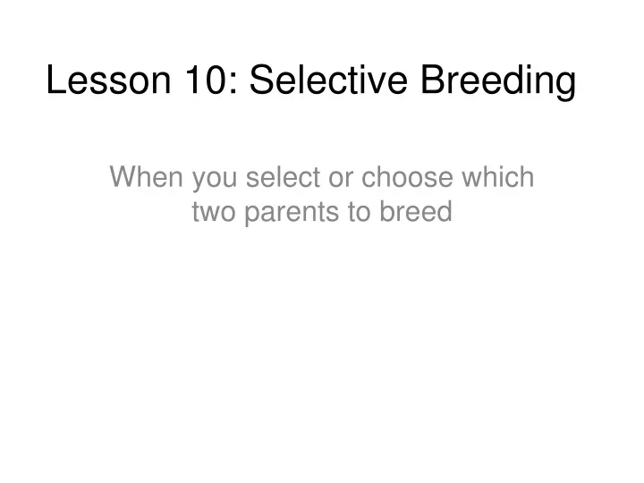 lesson 10 selective breeding
