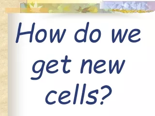 How do we get new cells?