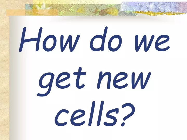 how do we get new cells