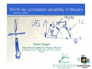 TeV/X-ray correlated variability in Blazars