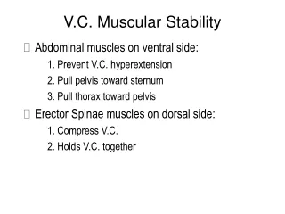 V.C. Muscular Stability