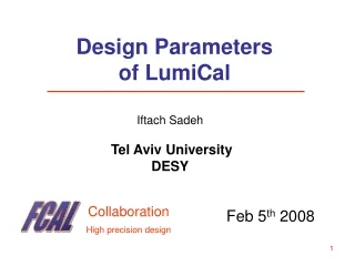 Design Parameters of LumiCal