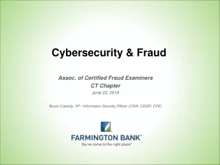 Cybersecurity &amp; Fraud