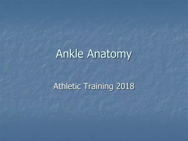 ankle anatomy