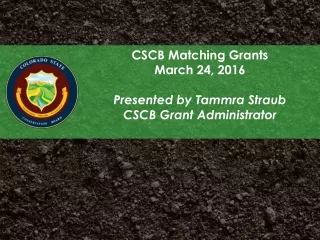 CSCB Matching Grants March 24, 2016 Presented by Tammra Straub CSCB Grant Administrator