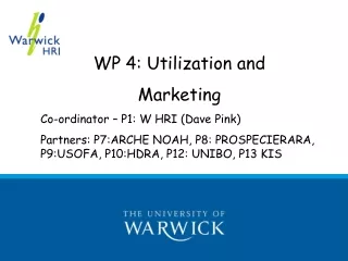 WP 4: Utilization and  Marketing Co-ordinator – P1: W HRI (Dave Pink)