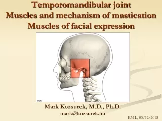 Temporomandibular  joint Muscles  and  mechanism  of  mastication Muscles of facial expression