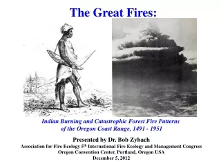 The Great Fires:
