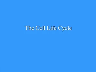 The Cell Life Cycle