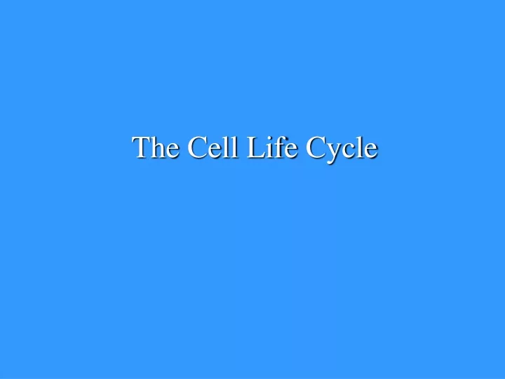 the cell life cycle