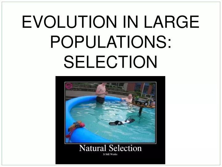 evolution in large populations selection