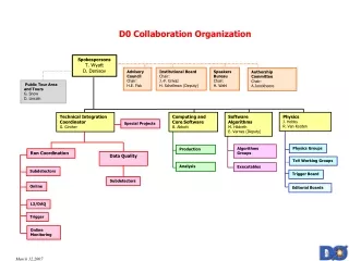 D0 Collaboration Organization