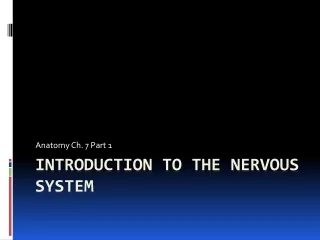 Introduction to The nervous system
