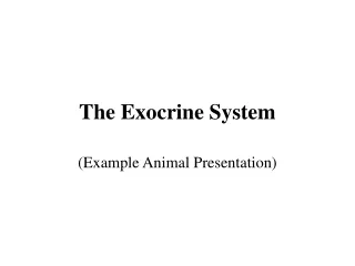The Exocrine System
