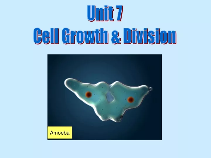 unit 7 cell growth division