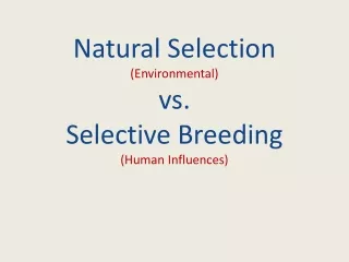 Natural Selection ( Environmental)  vs. Selective Breeding (Human Influences)