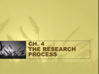 CH. 4 THE RESEARCH PROCESS