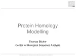 Protein Homology Modelling: Understanding the Principles - slide 1