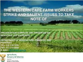 THE WESTERN CAPE FARM WORKERS STRIKE AND SALIENT ISSUES TO TAKE NOTE OF